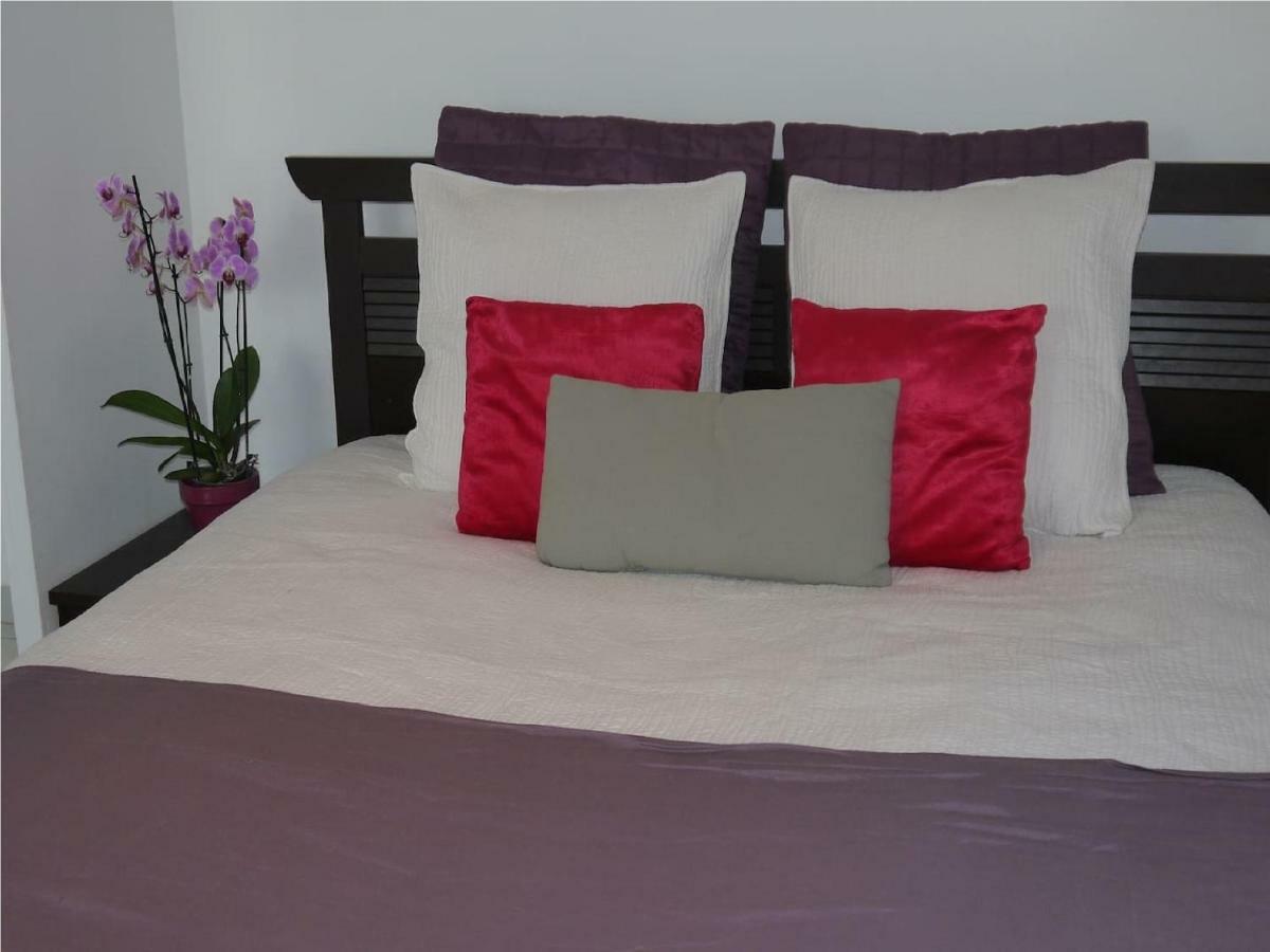 Grand Appartement Dans Maison Avec Piscine Privee Fréjus Εξωτερικό φωτογραφία