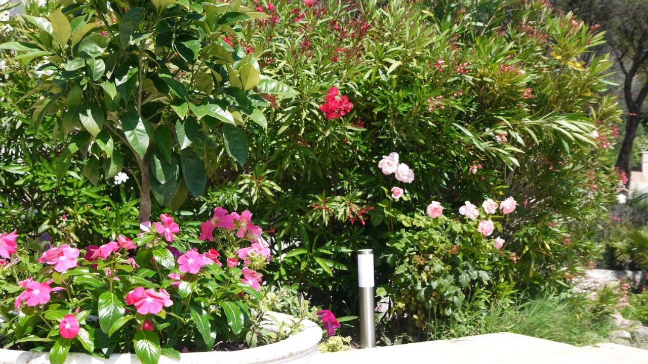 Grand Appartement Dans Maison Avec Piscine Privee Fréjus Εξωτερικό φωτογραφία